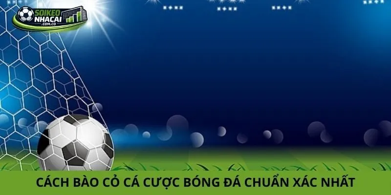Cách bào cỏ cá cược bóng đá Cách bào cỏ cá cược bóng đá
