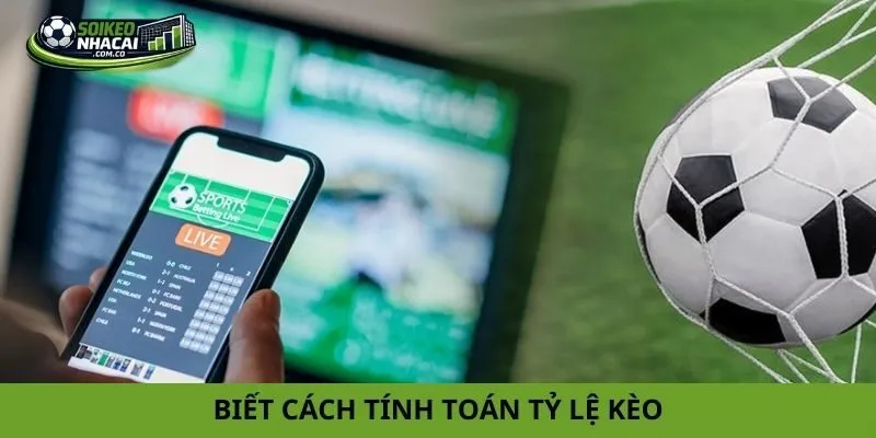 Cách bào cỏ cá cược bóng đá Cách bào cỏ cá cược bóng đá